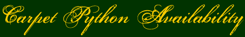 carpet python availability